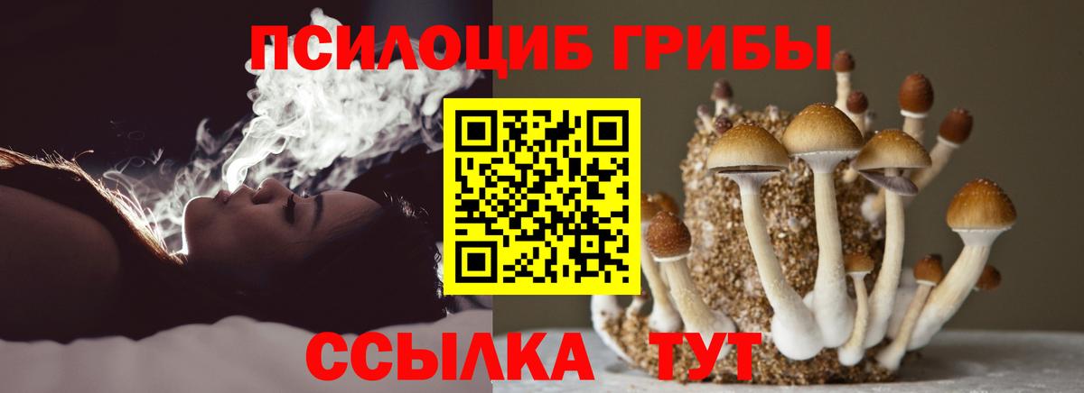 Одинцово  Галлюциногенные грибы мицелий  Вход с VPN 